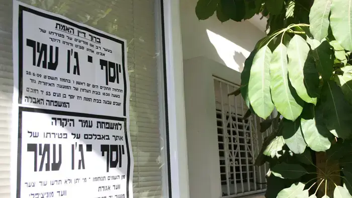 ג'ו עמר 