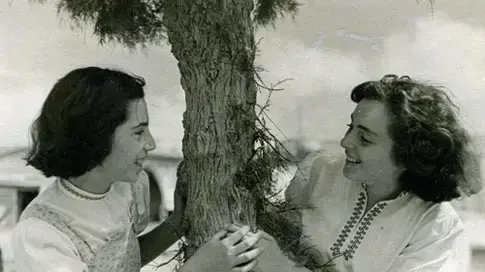 רינה לוין