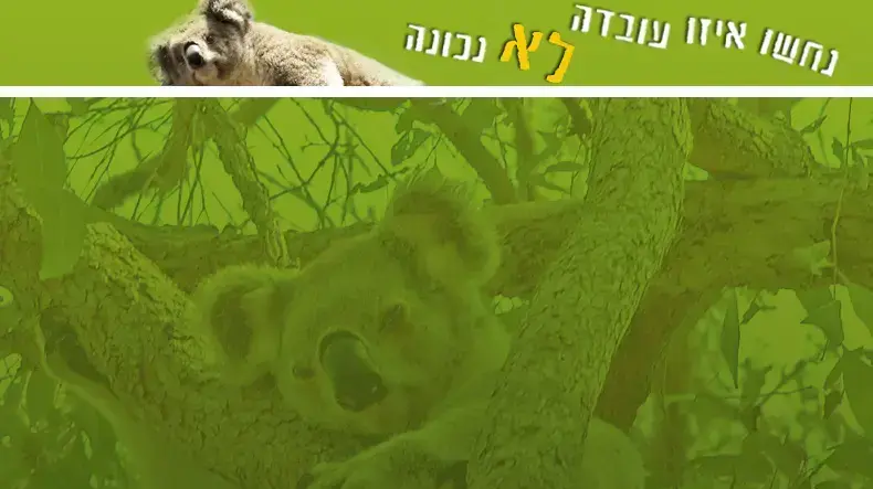 באנר נחשו איזו עובדה לא נכונה