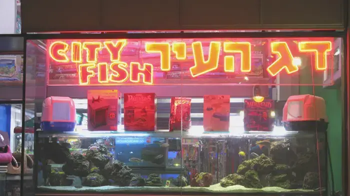דג העיר