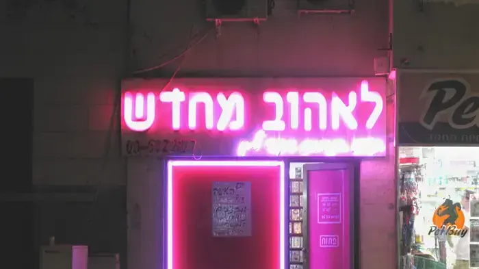לאהוב מחדש