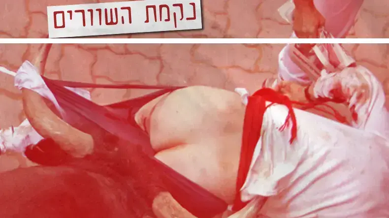 נקמת השוורים