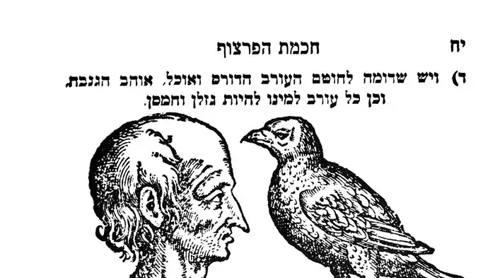 חכמת הפרצוף חכמת הפרצוף
