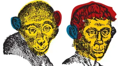 חכמת הפרצוף חכמת הפרצוף