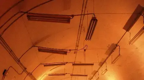 טקס פתיחת מתחם שרונה