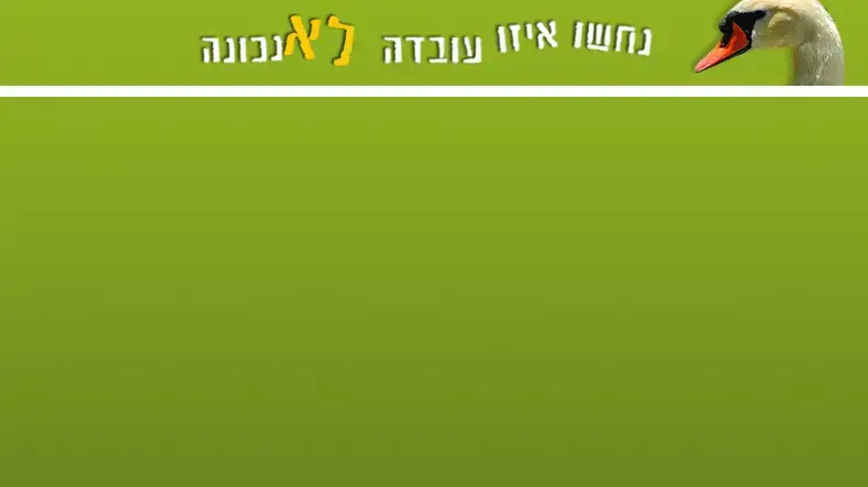 "נחשו איזו עובדה לא נכונה"