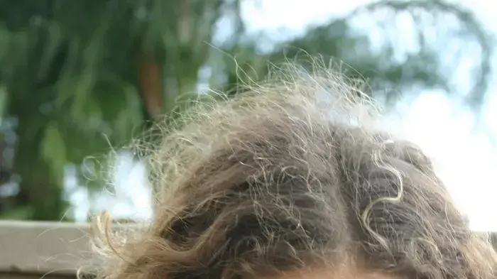 כלבים לאימוץ המלאכים של רקסי