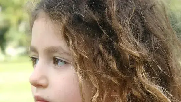 כלבים לאימוץ המלאכים של רקסי כלבים לאימוץ המלאכים של רקסי