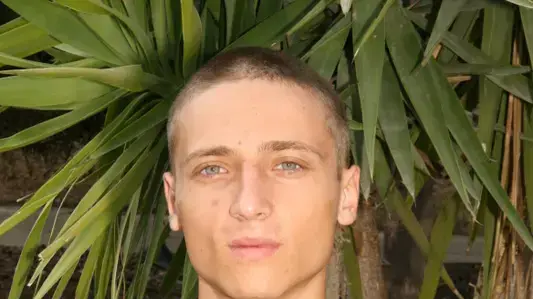 רומן שולגה
