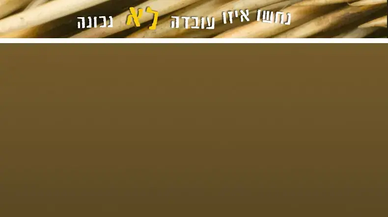 נחשו איזו עובדה לא נכונה