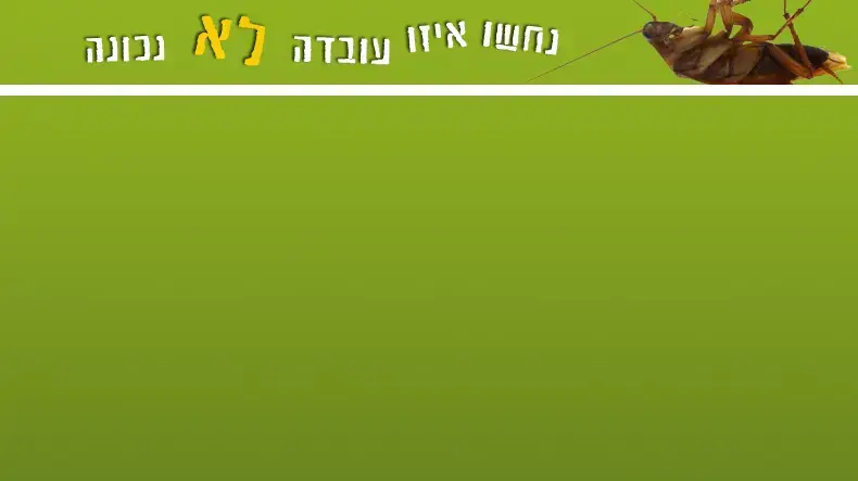 נחשו איזו עובדה לא נכונה