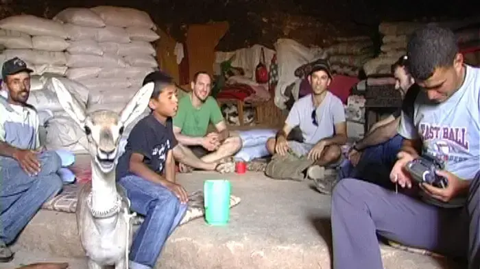 מחברון לירושלים: עופר אחד לשני עמים