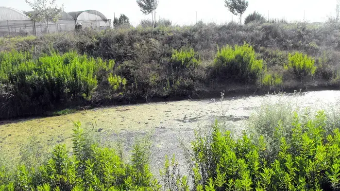 ביוב באקה אל גרביה בנחל חביבה המתנקז לנחל חדרה