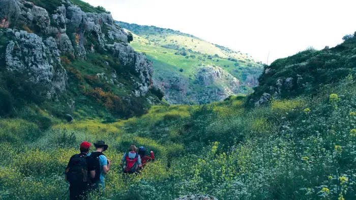 מתוך הספר "בישולי בדרך"
