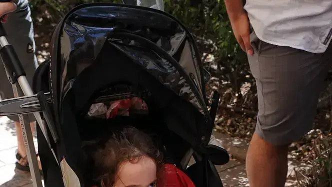 לצאת מהקופסא