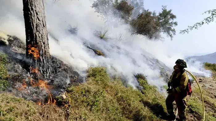 שריפות ענק משתוללות בקליפורניה שריפות ענק משתוללות בקליפורניה