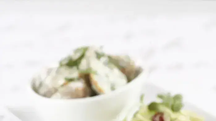 מנה של רשת ארקפה מסדרת AL FORNO  