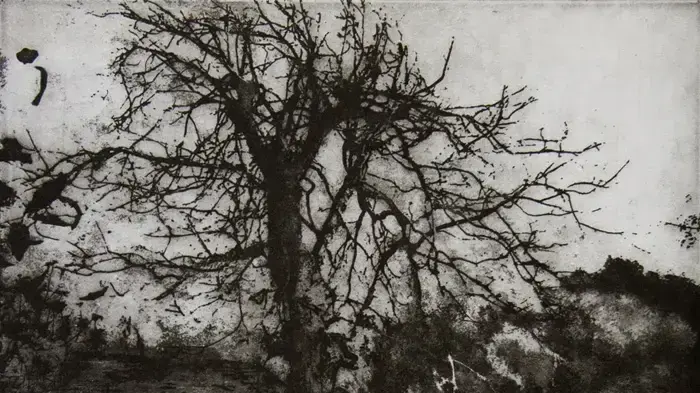 אלי אהרוני, house, ladder  and a tree 