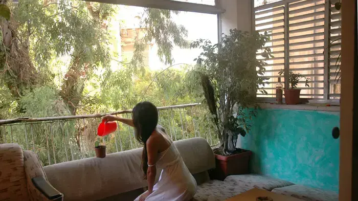כולם היו בתיי
