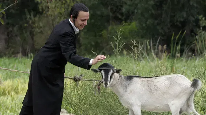 חסידי ברסלב חוגגים ראש השנה באומן