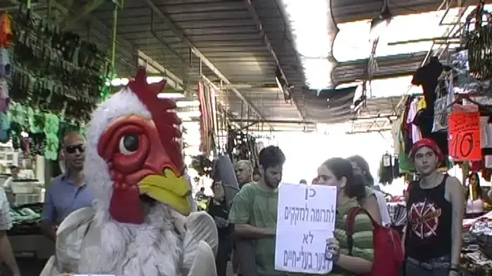 ארגוני זכויות בעלי החיים נגד מנהג הכפרות