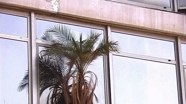 "G Spotting", נירה פרג