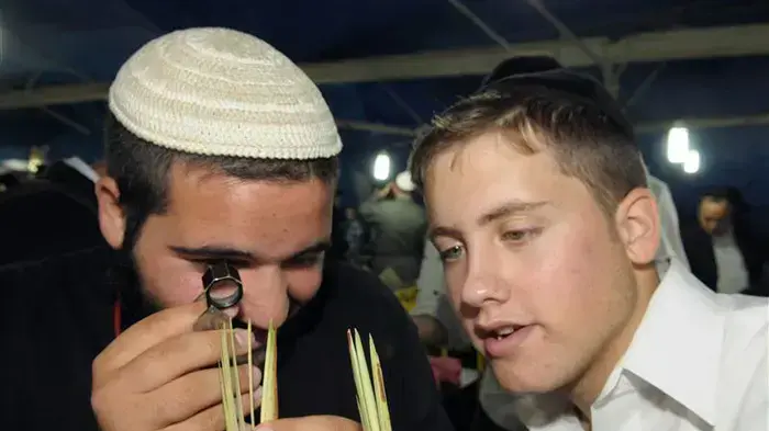 שוק ארבעת המינים בירושלים