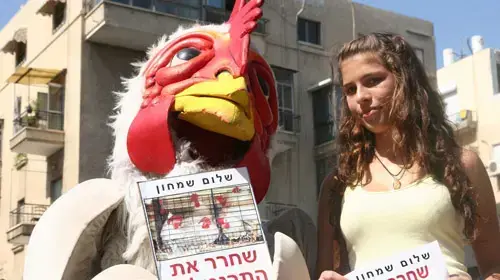 יום הזדהות עם בעלי חיים במשקים יום הזדהות עם בעלי חיים במשקים