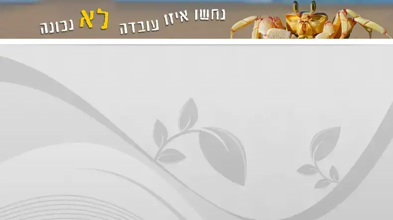 נחשו איזו עובדה לא נכונה