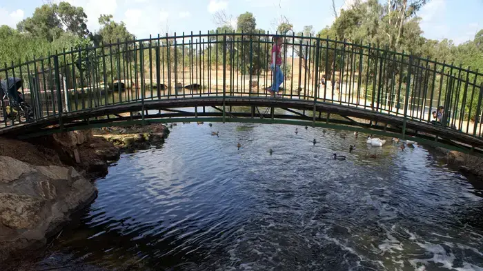 משה פרסטר מסייר בשבע טחנות