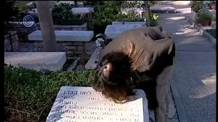 הורים ששכלו את ילדיהם בפיגועים ברגשות מעורבים לגבי עסקת שליט