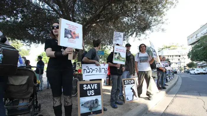 הפגנה נגד פרוות הפגנה נגד פרוות