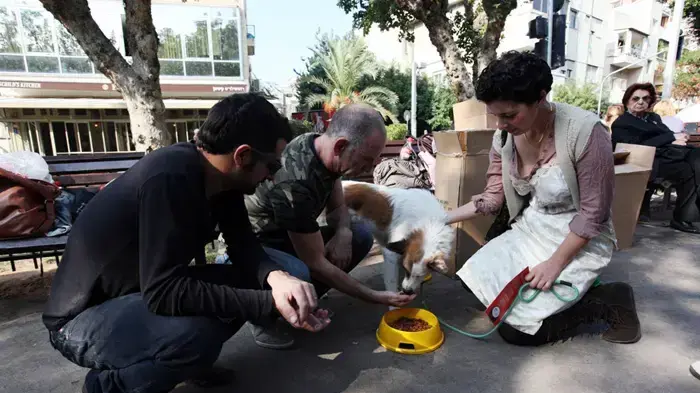 מבצע קערות SOS חיות מבצע קערות SOS חיות