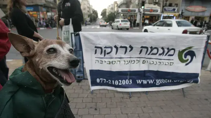 הפגנה של מגמה ירוקה לרגל ועידת קופנהגן הפגנה של מגמה ירוקה לרגל ועידת קופנהגן