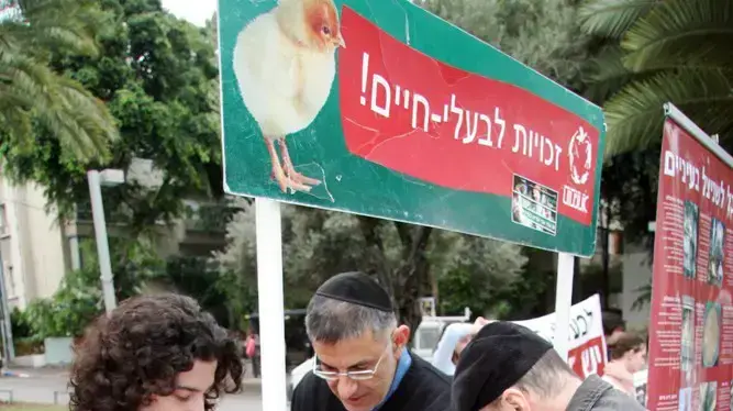 הפגנה למען זכויות בעלי חיים הפגנה למען זכויות בעלי חיים