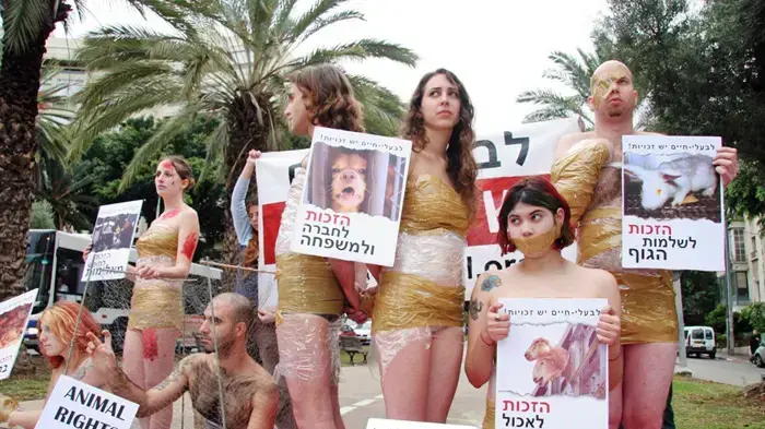 הפגנה למען זכויות בעלי חיים הפגנה למען זכויות בעלי חיים