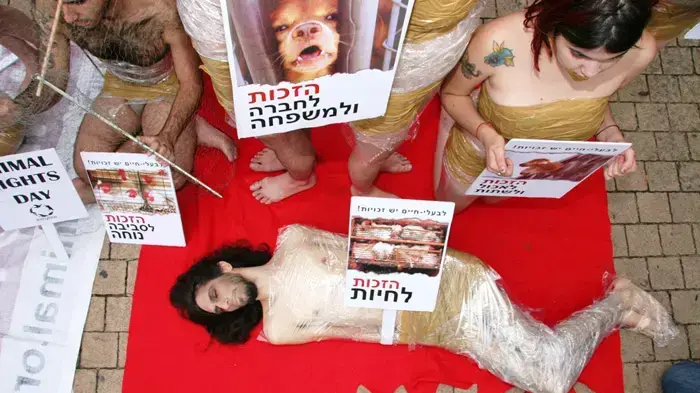 הפגנה למען זכויות בעלי חיים הפגנה למען זכויות בעלי חיים