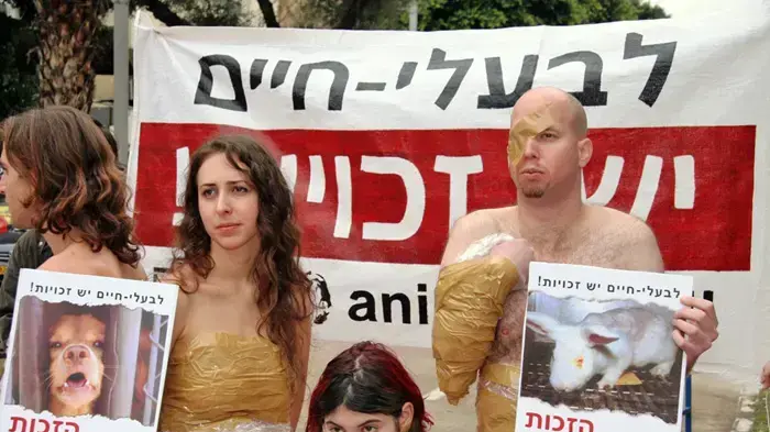 הפגנה למען זכויות בעלי חיים הפגנה למען זכויות בעלי חיים