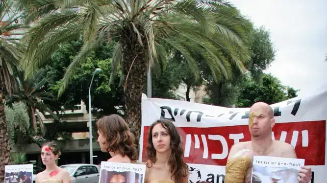 הפגנה למען זכויות בעלי חיים