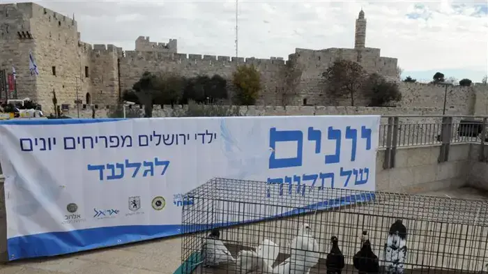 ילדי ירושלים מפריחים יונים לגלעד שליט בחומות העיר העתיקה