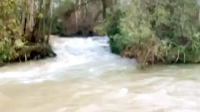 בעקבות הגשמים: הנחלים עלו על גדותיהם