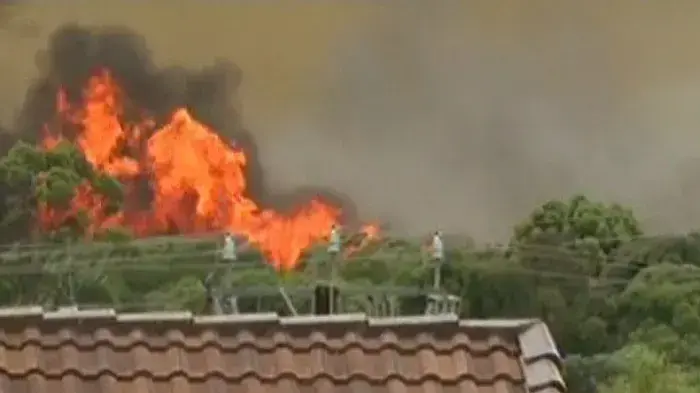 שריפות יער באוסטרליה יצאו משליטה