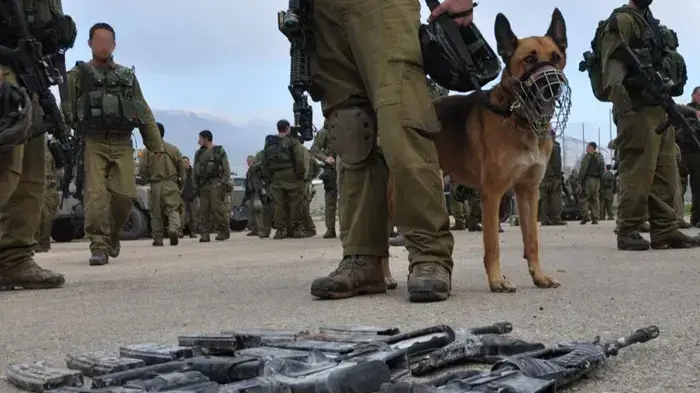 מבצע צה"ל בשכם להרג המחבלים שביצעו את פיגוע הירי