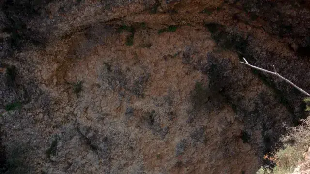פנוי כלב שנלכד וחולץ אחרי שלושה ימים ממפל התנור על ידי יחידת חילוץ גולן