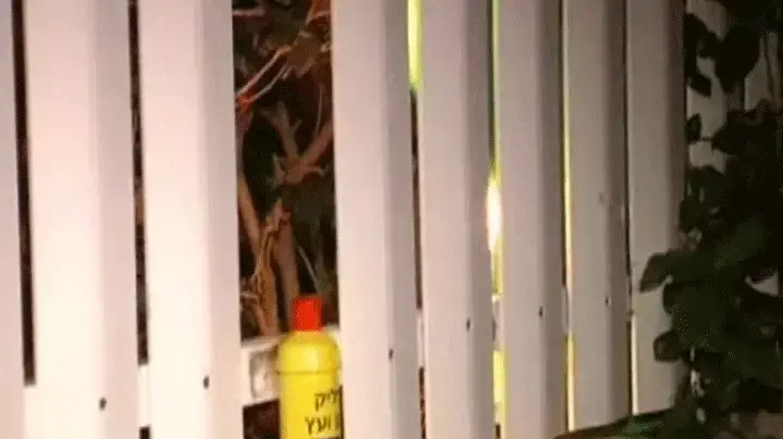 בני עי"ש