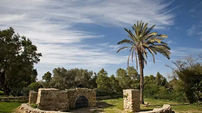 גן לאומי אשקלון גן לאומי אשקלון