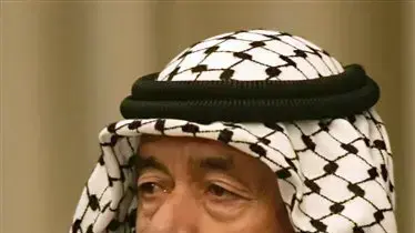 עלי הכימאי, עלי חסאן אל מאג'יד