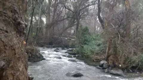 זרימה חזקה בנחלי הצפון ינואר 2010