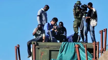 זברות במכלאה מאולתרת, לאחר שנתפסו בקניה