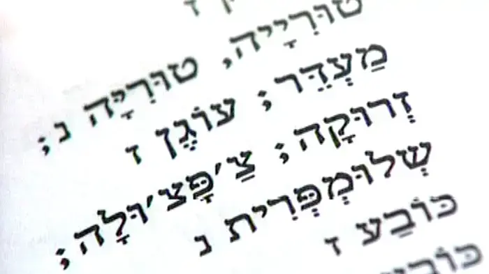 יצא מילון עברי-לדינו